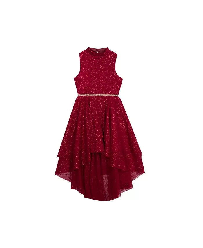 Rare Editions Big Girls Glitter Dot Mesh Tie Burgundy Red Size 16 MSRP $84