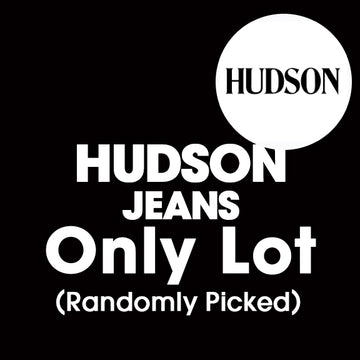 Sample Lot - HUDSON Only Lot, 3-6 Units, Shelf Pulls, (MSRP min. $300)