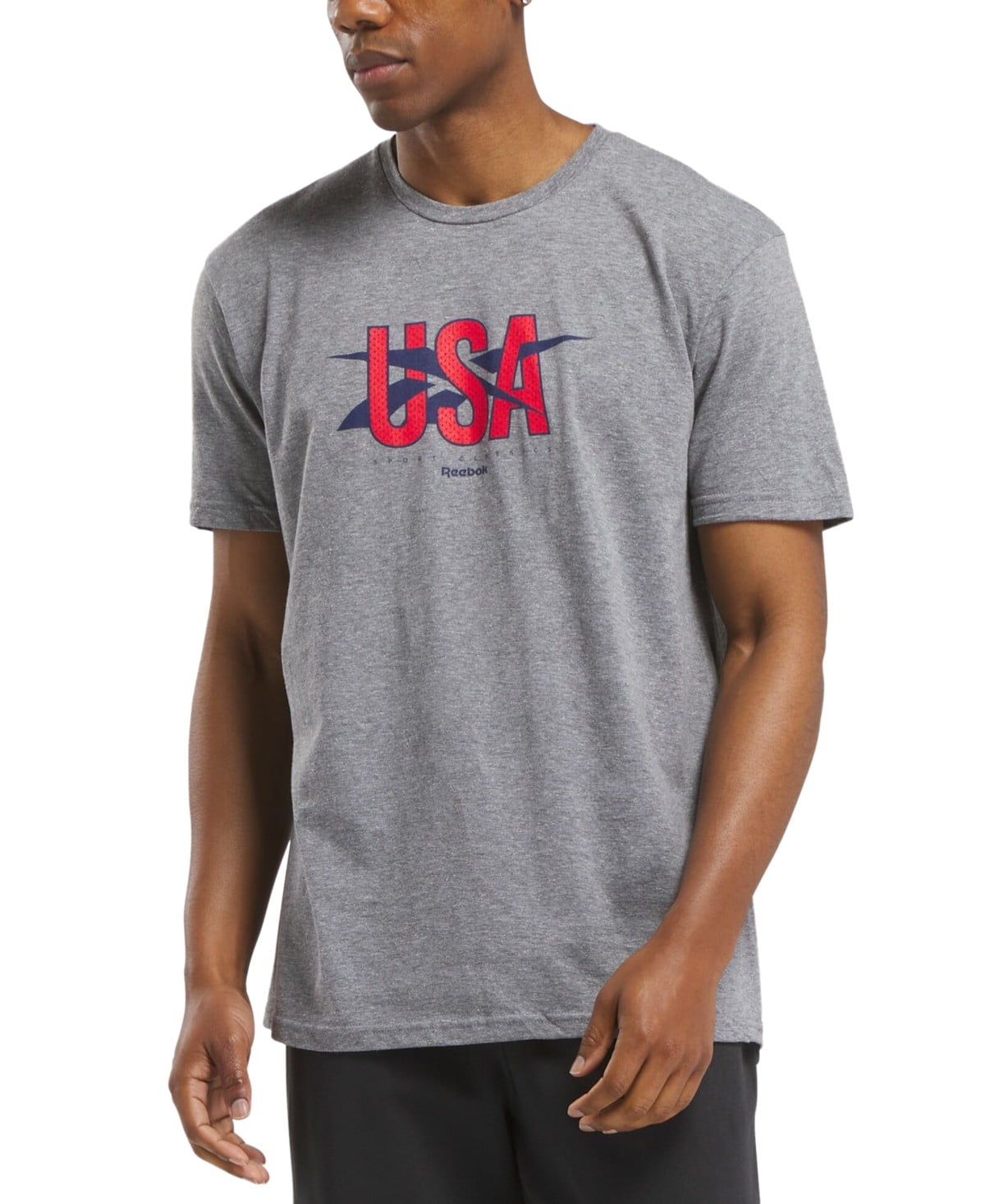 Reebok Mens Regular fit Short Sleeve Graphic T-Shirt Shirt Medium Grey Solid