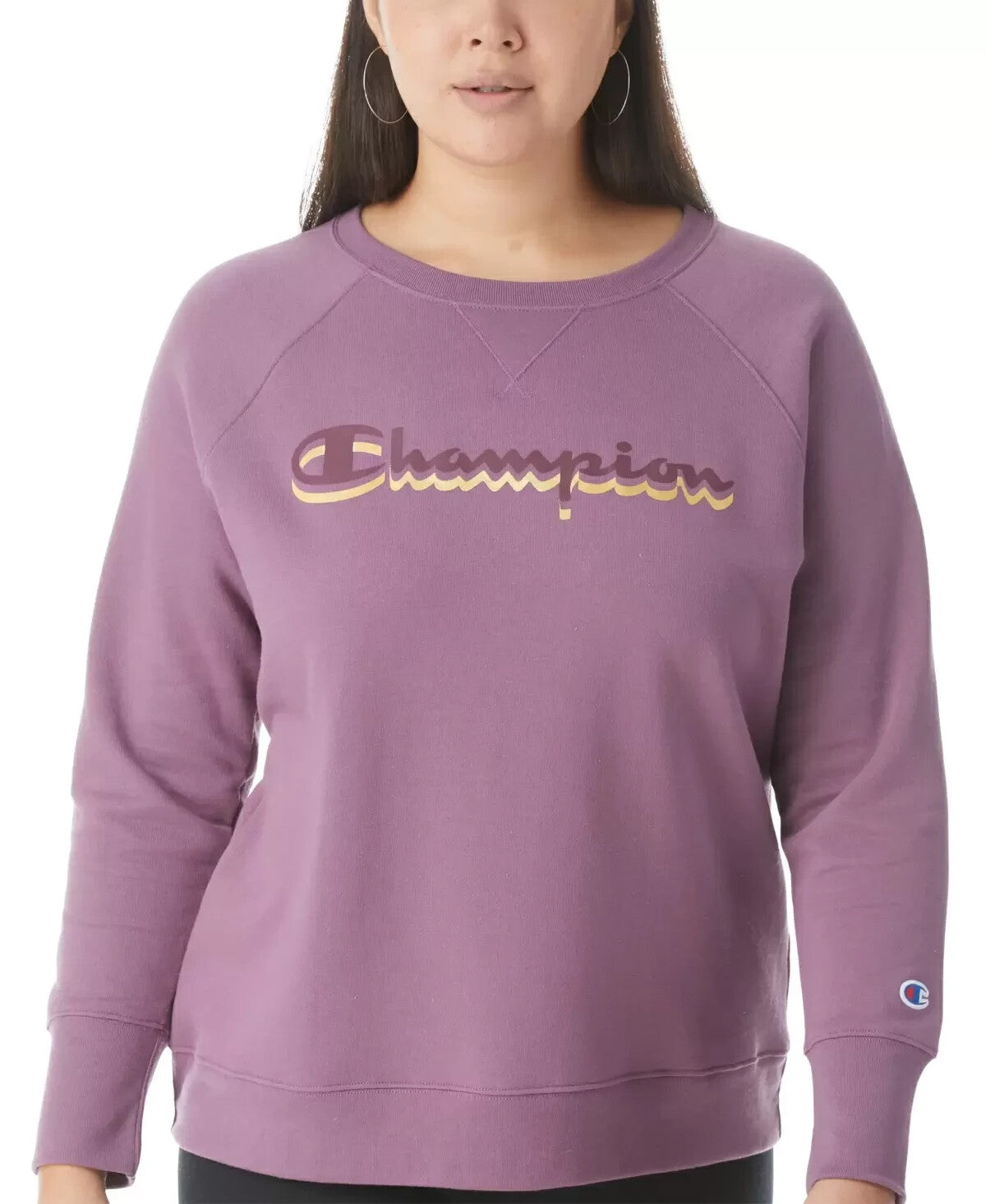 Champion Womens Plus Powerblend Logo Boyfriend Sweatshirt Purple Size 2X SALE$50