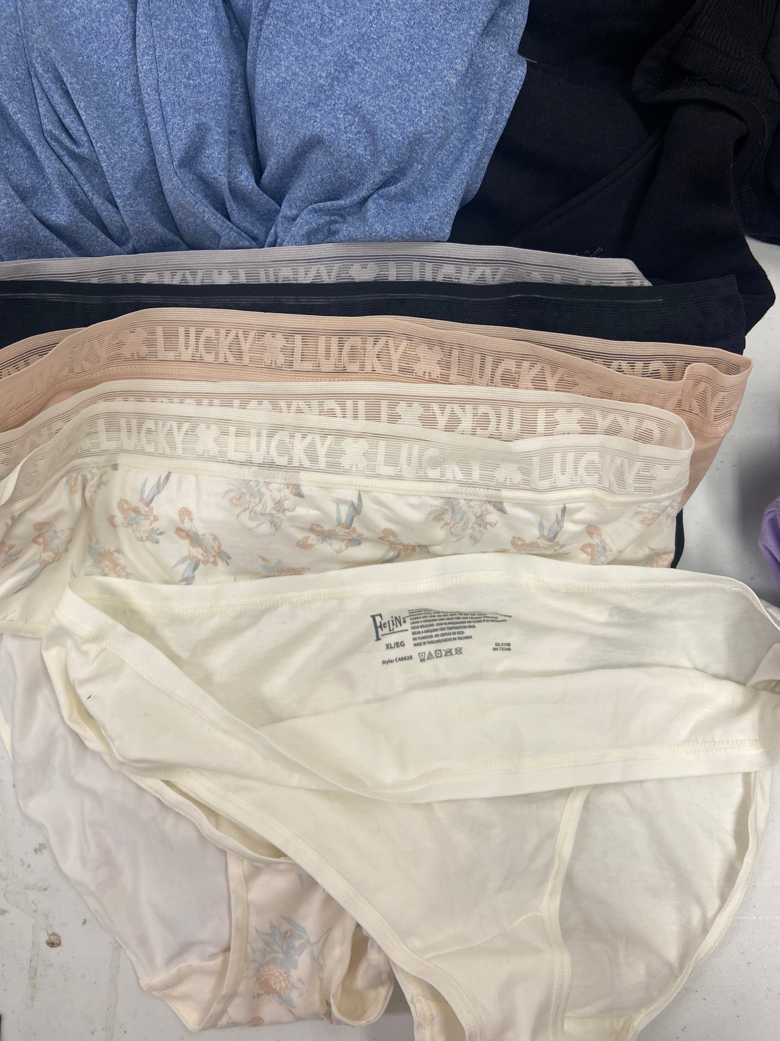 Women's Clothing, Intimates, Wholesale Lot, LUCKY BRAND, FREE PEOPLE, FELINA, FLORA NIKROOZ, 32 DEGREES, and more, 14 items, Shelf Pulls, MSRP $490