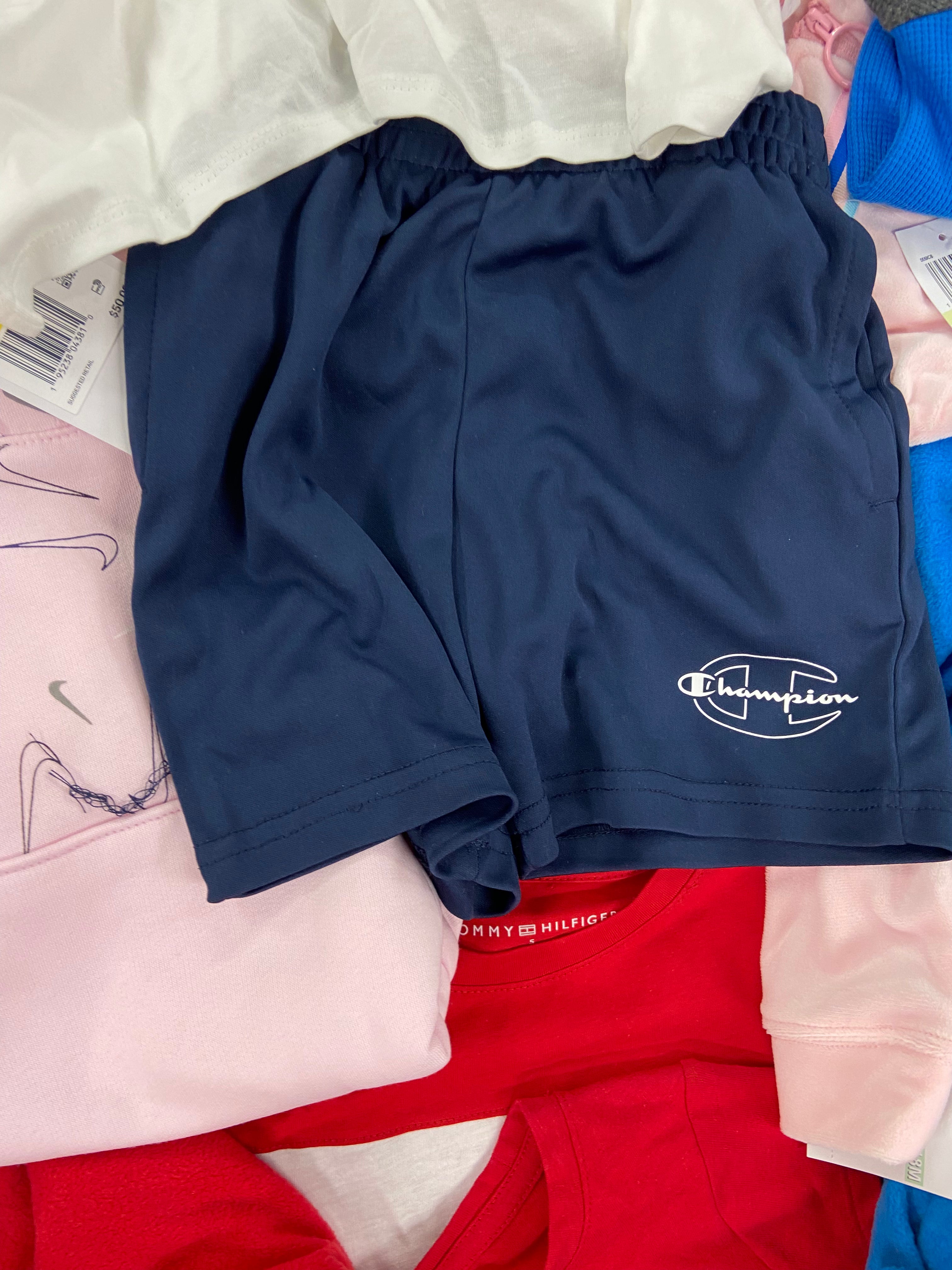 Baby's / Kid's Assorted Clothing Wholesale Lot, NIKE, TOMMY HILFIGER, PINKFONG, CALVIN KLEIN, NINA DOLL, CHAMPION, CARTER'S and more, 31 items, Shelf Pulls, MSRP $971