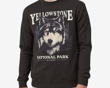 COTTON ON Mens Graphic Crewneck Sweatshirt Black Yellowstone Medium