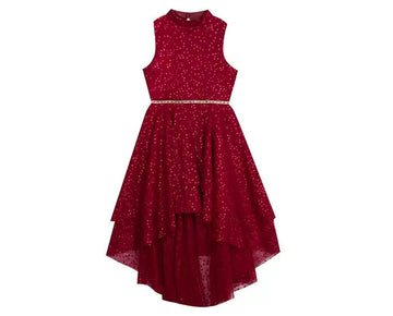 Rare Editions Big Girls Glitter Dot Mesh Tie Burgundy Red Size 16 MSRP $84