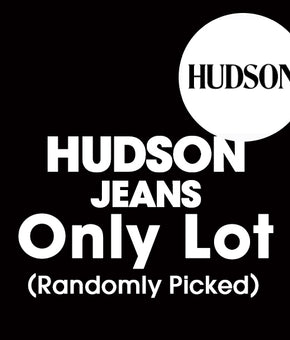 Sample Lot - HUDSON Only Lot, 3-6 Units, Shelf Pulls, (MSRP min. $300)