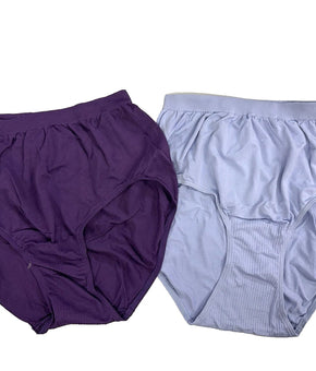 Bali Women Soft Revolution Brief Smooth Nylon 2-Pack Light Blue Purple Size 8/9