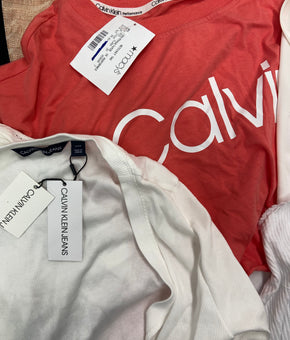 Women's Clothings Tops, Wholesale Lot, POLO RALPH LAUREN, FREE PEOPLE, SPLENDID, CALVIN KLEIN, 1 STATE, FELINA, HILARY RADLEY and more, 18 items, CUSTOMER RETURNS